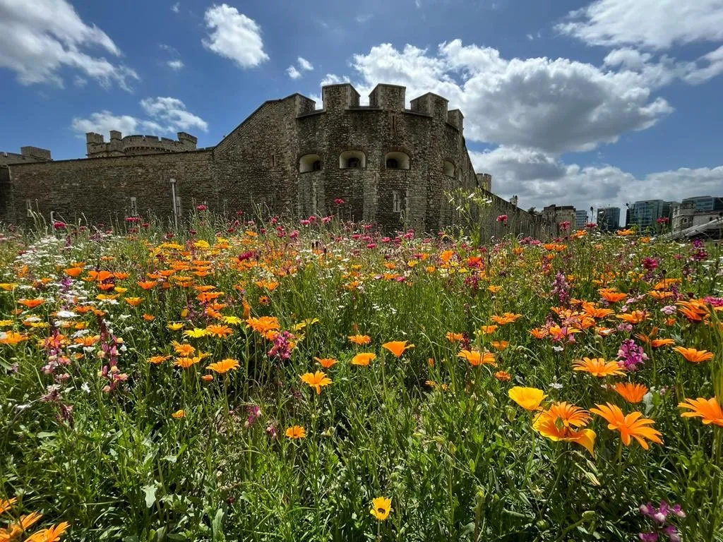 A new ramp was needed to enable visitors to access the area and the tower’s moat